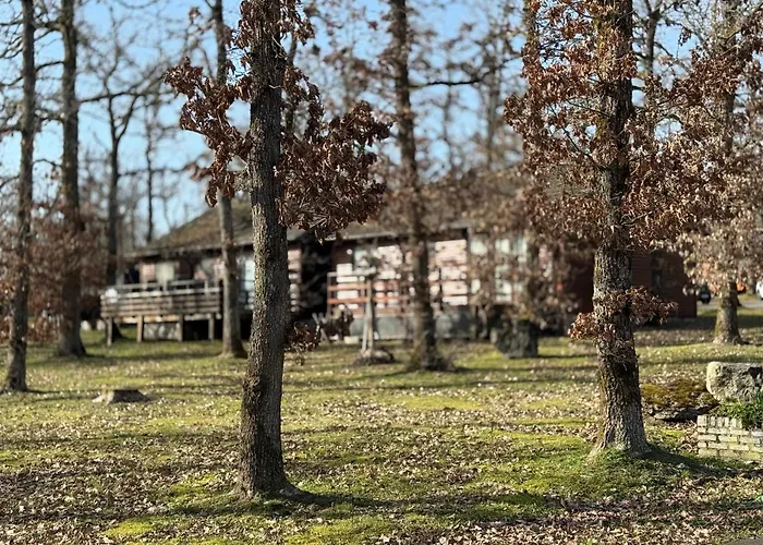 Bois De L'ourthe 202 *